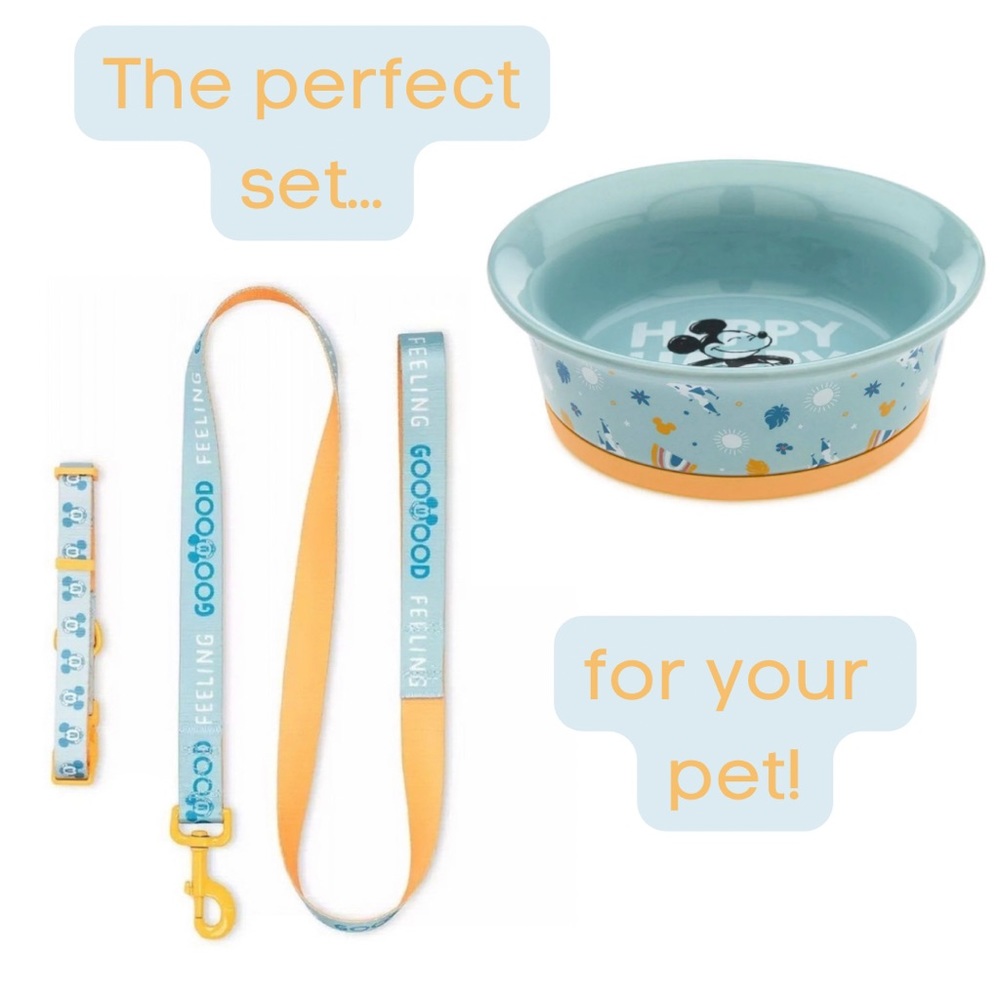 🐶 Disney collar, leash, and bowl combo! 🦮 Size small